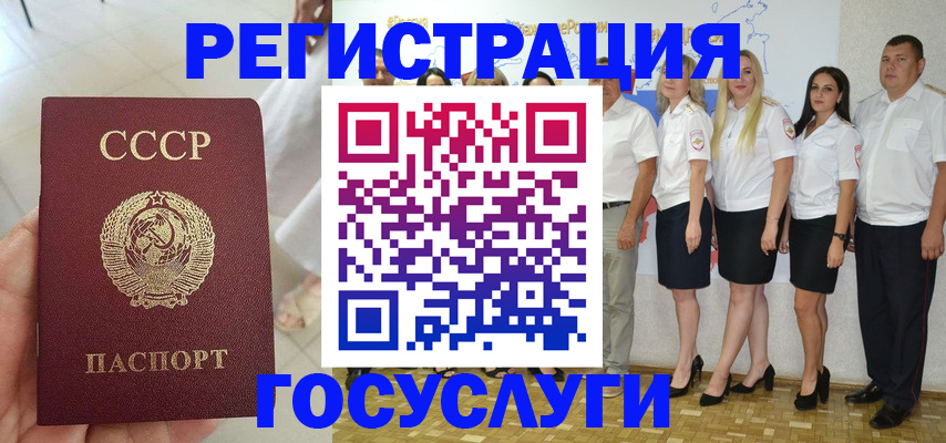 где прописаться в Ельне