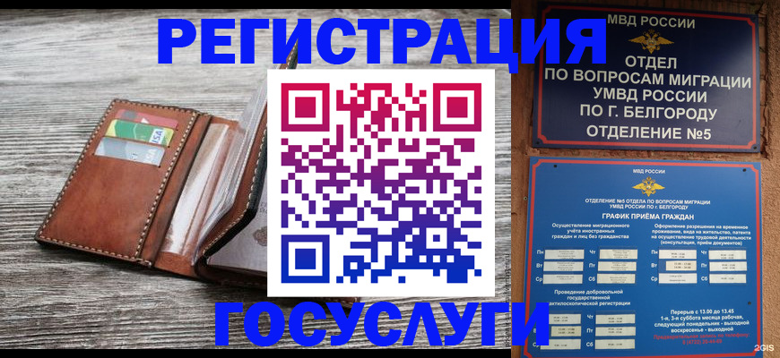 временная регистрация гарантия в Ельне